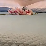 شقة Sp+p *