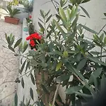 Sp+p Апартаменты