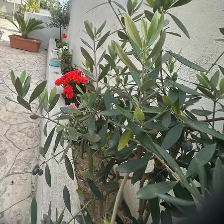Sp+p Apartament